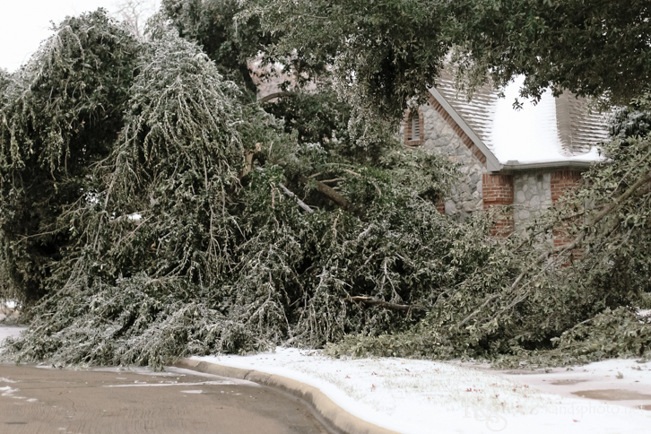 Dallas Wedding Photographers - K & S Photography